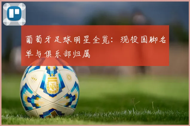 葡萄牙足球明星全览：现役国脚名单与俱乐部归属