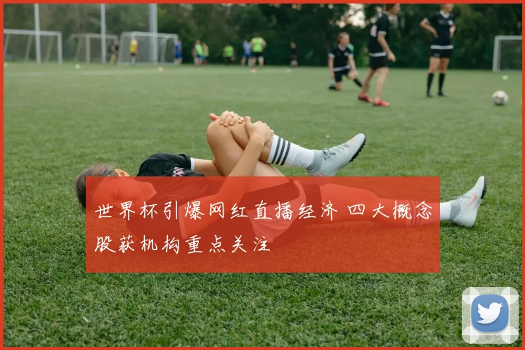 世界杯引爆网红直播经济 四大概念股获机构重点关注