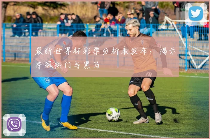 最新世界杯彩票分析表发布，揭示夺冠热门与黑马
