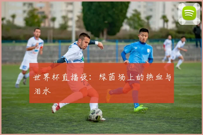世界杯直播夜：绿茵场上的热血与泪水