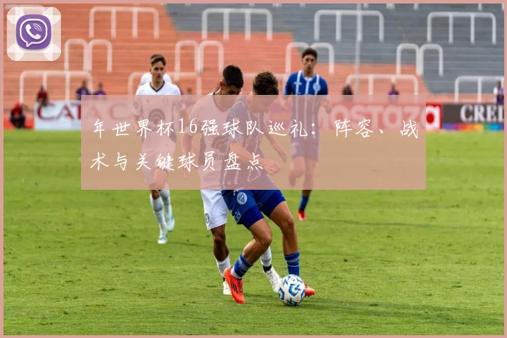 年世界杯16强球队巡礼：阵容、战术与关键球员盘点