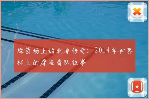绿茵场上的北非传奇：2014年世界杯上的摩洛哥队往事