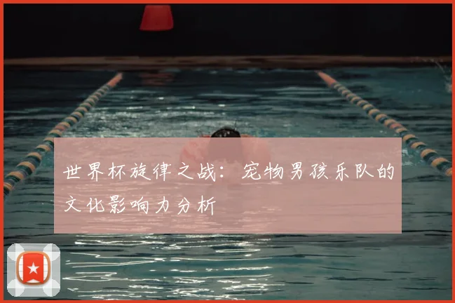 世界杯旋律之战：宠物男孩乐队的文化影响力分析