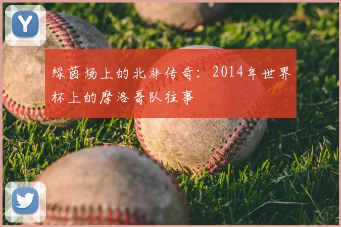绿茵场上的北非传奇：2014年世界杯上的摩洛哥队往事