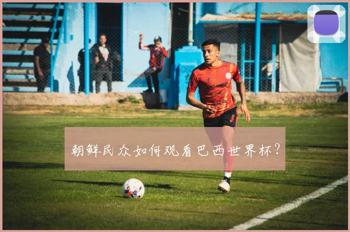 朝鲜民众如何观看巴西世界杯？