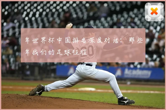 年世界杯中国排名深度对话：那些年我们的足球征程