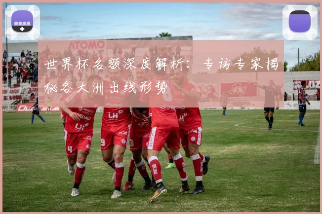 世界杯名额深度解析：专访专家揭秘各大洲出线形势