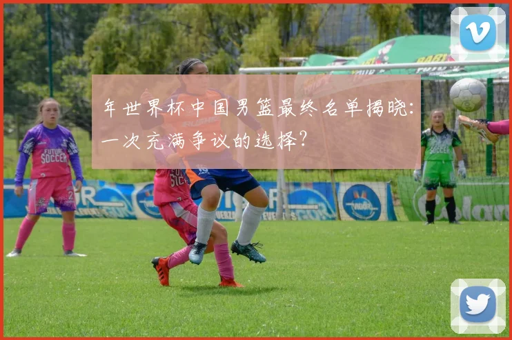 年世界杯中国男篮最终名单揭晓：一次充满争议的选择？