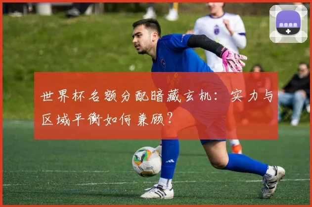 世界杯名额分配暗藏玄机：实力与区域平衡如何兼顾？