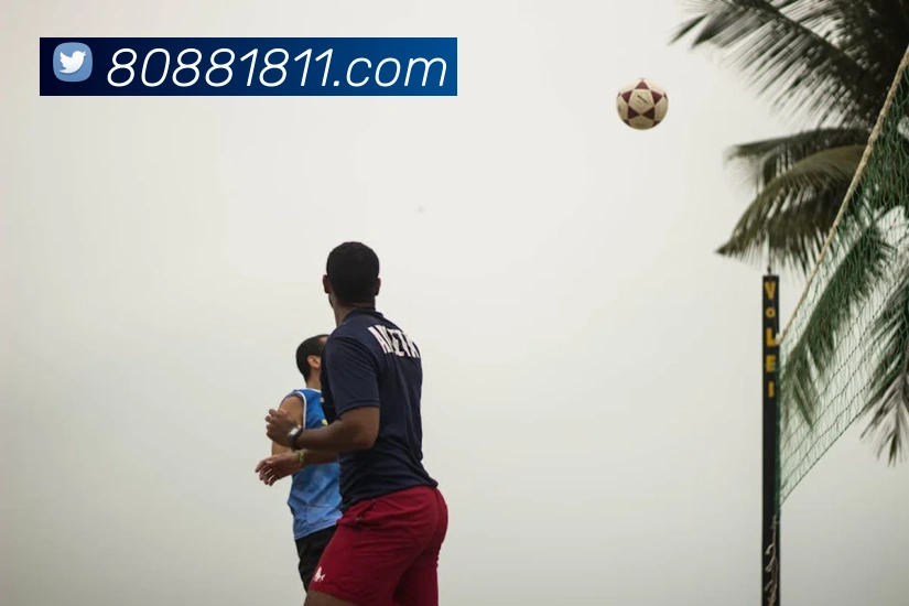 半岛平台入口品牌故事